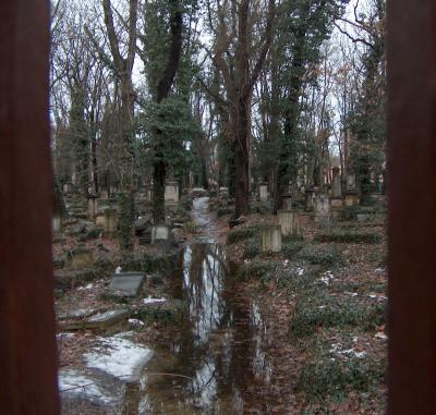 Eliasfriedhof in Dresden