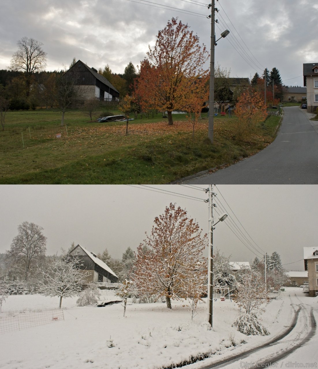 Fall/Winter 2012